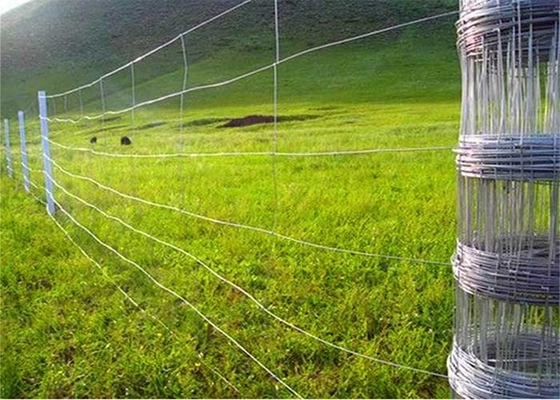 Animal Rural Farm 150mm Hinge Joint Fence Hot Dipped Galvanized Steel Wire Mesh