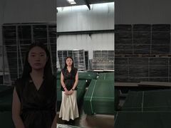 Cercas de vista livre Cercas de segurança anti-escalada